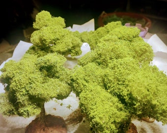 wargaming modular trees, large realistic trees