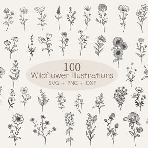 Fleurs sauvages SVG, lot de 100 fleurs sauvages, lot floral SVG, illustrations de fleurs sauvages, fleurs minimalistes pn, clipart floral, téléchargement immédiat