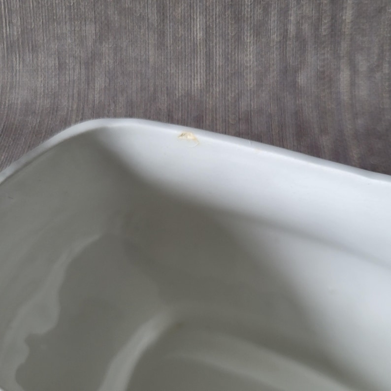 May include: A close-up of a white rectangular ceramic container with rounded corners. The container has a smooth, glossy surface. A small, light-colored spot is visible on the rim of the container. The background is a gray, textured surface.