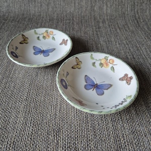 Può includere: Due ciotole in ceramica bianca con un design a farfalle e fiori. Ogni ciotola presenta una grande farfalla blu al centro, circondata da farfalle più piccole, fiori e frutta. I bordi hanno un bordo a righe verdi e bianche.