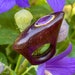 see more listings in the Ebony wood Rings section