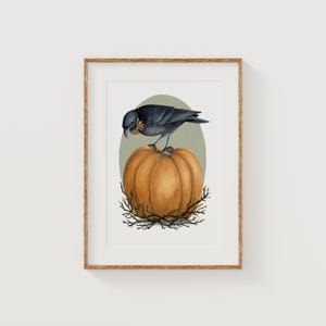 Crow and Pumpkin Fine Art Print 5x7, crow painting, crow wall art, black crow art print, whimsical crow illustration, art print autumn