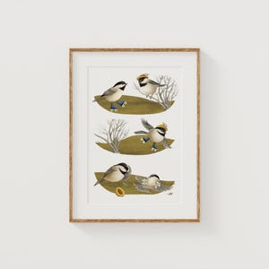 Art Print 5"x7" Chickadees roller skating, Wildlife illustration giclee, whimsical woodland animal decor, nursery bird illustration wall art