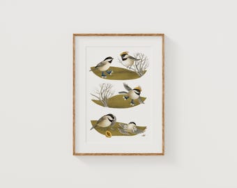 Whimsical Chickadee Birds Art Print, 5x7, Roller Skating Animal Wall Decor, Woodland Animal Wall Art, Playful Nursery Gift Bird Art Print