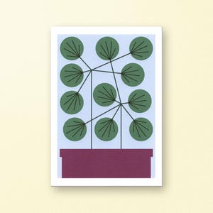 Plante Pilea - Impression jet d'encre A5 sur papier