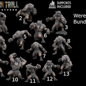 Op de afbeelding: Een verzameling grijze weerwolf miniaturen in verschillende poses, waaronder staand, hurkend en aanvallend. De miniaturen zijn gedetailleerd met vacht en gespierde kenmerken. De tekst "Werewolf Bundle" is zichtbaar.