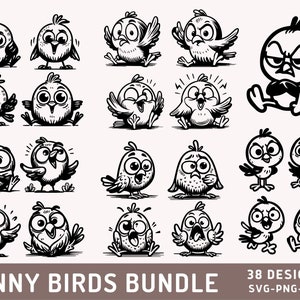 Funny Birds Bundle Svg, Cute Birds Design, Crazy Birds Clipart Svg, Birds Vector Sublimation, Cricut Cut File