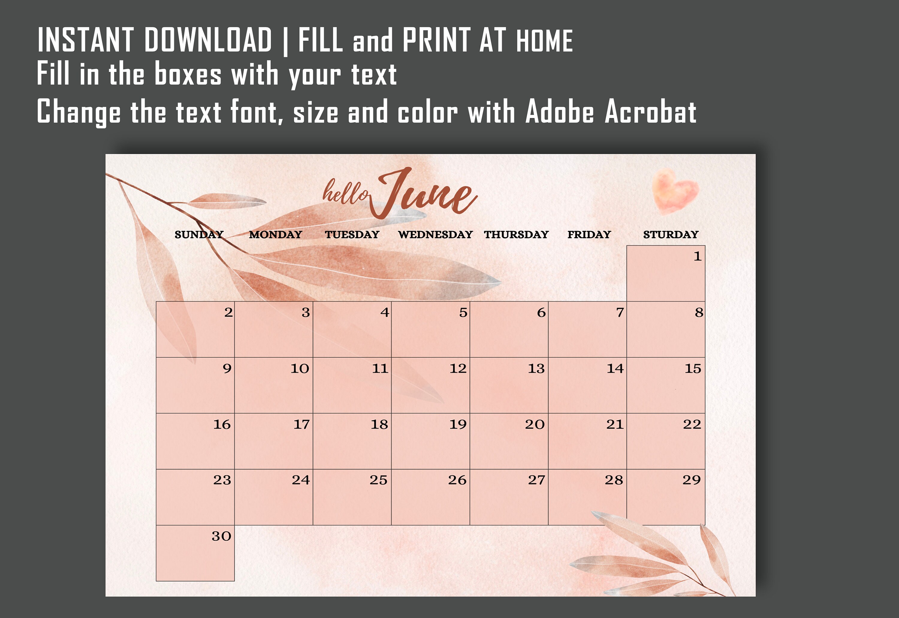 EDITABLE June 2024 Calendar, June 2024 Printable Calendar, Printable ...
