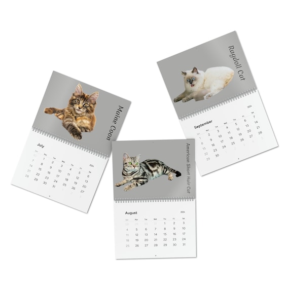 Calendrier mural pour chats 2024 avec diverses races de chats -  France