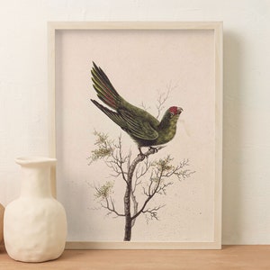 Póster de pájaros, póster Vintage, ilustración de arte de pared, decoración atística de pared de pájaros para sala de estar, arte instantáneo