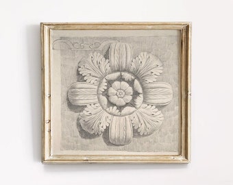 Architectural Flower Drawing: Italian Ornament Art Print (Digital Download)