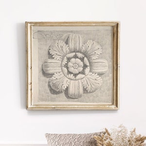 Architectural flower drawing, architecture ornament print, flower drawing art print, Italian drawing, architectural drawing