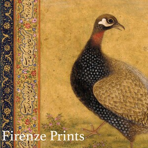 May include: A detailed illustration of a bird with a speckled brown and black body, a red neck, and a white spot above its eye. The bird is set against a yellow background with a decorative border of floral patterns and Arabic script.