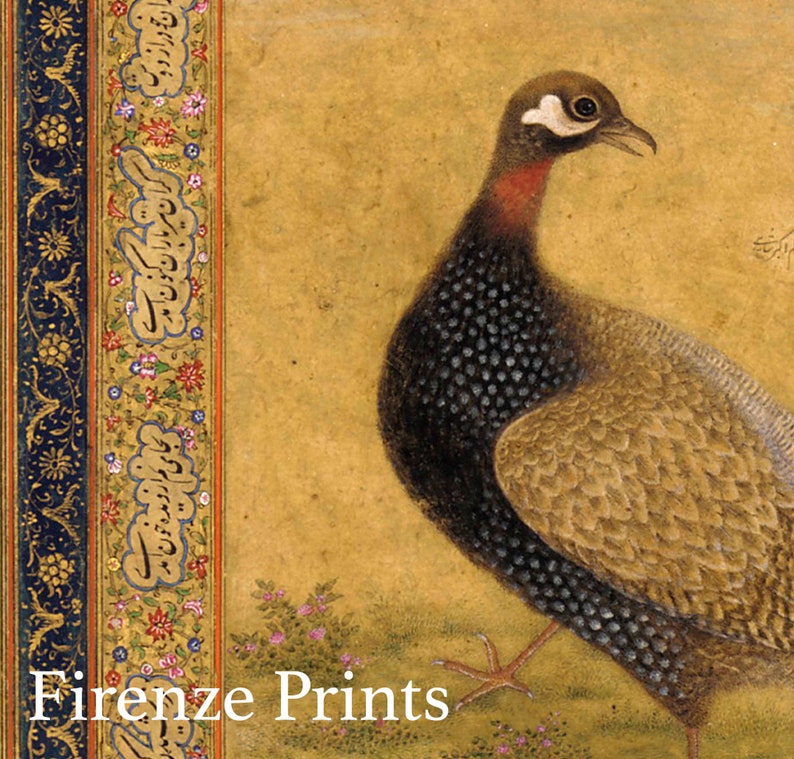 May include: A detailed illustration of a bird with a speckled brown and black body, a red neck, and a white spot above its eye. The bird is set against a yellow background with a decorative border of floral patterns and Arabic script.