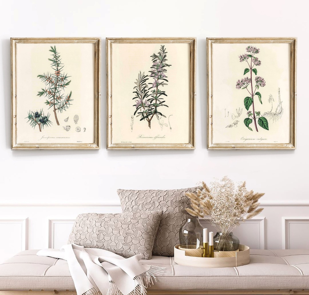 Vintage Herb Prints Set: Kitchen Wall Art (digital Download) - Etsy