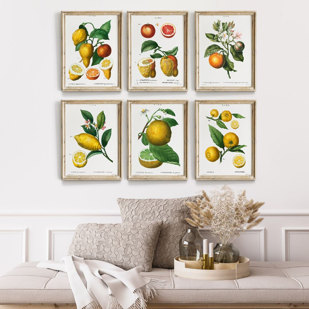 Gallery Wall Art Set Of 6 Prints, Vintage citrus print,  citrus wall art, Vintage fruit prints, kitchen wall art, lemon print