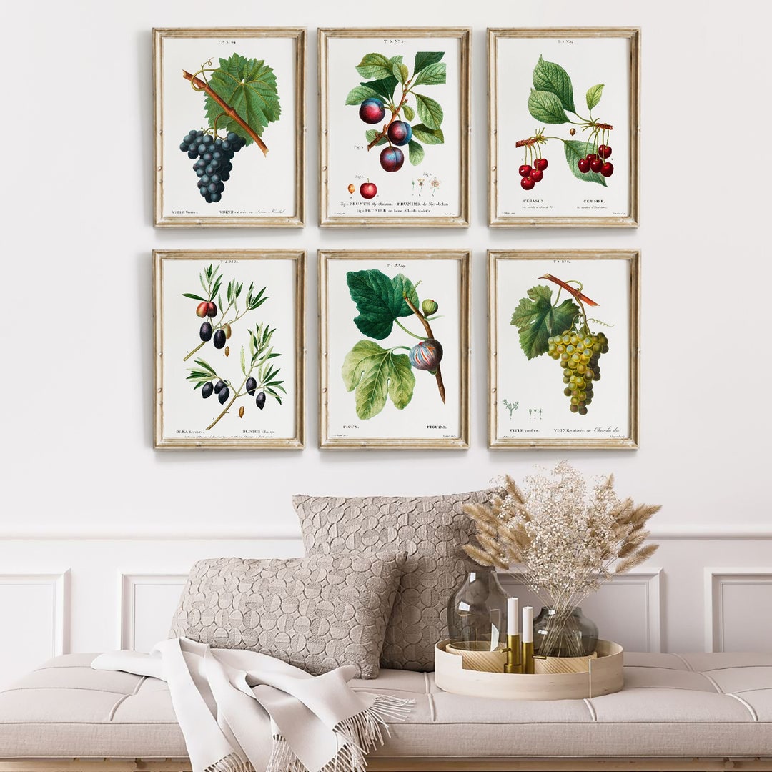 kitchen gallery wall art set of 6, vintage fruit... Vintage Italian Fruit Prints: Botanical Kitchen Gallery Wall Art ...