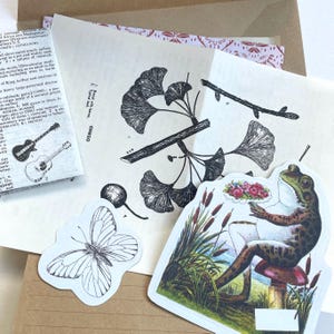 Könnte beinhalten: Eine Auswahl an Papieren, darunter eine botanische Illustration eines Ginkgo-Zweigs, ein Schmetterlingsaufkleber und ein Froschaufkleber mit Blumen. Die Artikel sind auf einem neutralen Hintergrund angeordnet.