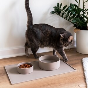 Pu&ograve; includere: Un gatto grigio &egrave; in piedi vicino a due ciotole di silicone grigio per animali domestici su un tappetino di silicone grigio. Le ciotole sono su un pavimento di legno. Il tappetino ha la scritta "LIVIVO" stampata su di esso.