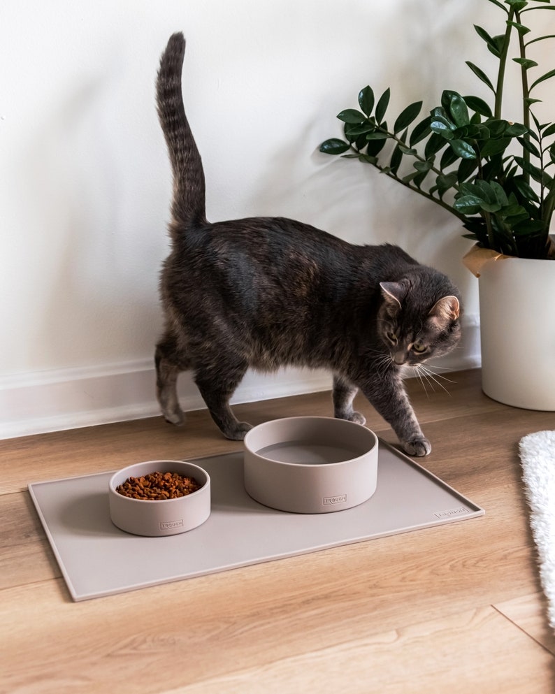 Pu&ograve; includere: Un gatto grigio &egrave; in piedi vicino a due ciotole di silicone grigio per animali domestici su un tappetino di silicone grigio. Le ciotole sono su un pavimento di legno. Il tappetino ha la scritta "LIVIVO" stampata su di esso.