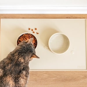 Pu&ograve; includere: Un gatto grigio che mangia da una ciotola di ceramica beige piena di cibo per gatti marrone. La ciotola &egrave; su un tappetino in silicone beige con una seconda ciotola vuota accanto. Il tappetino ha la scritta "HEAVEN" stampata.