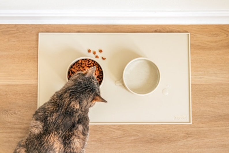 Pu&ograve; includere: Un gatto grigio che mangia da una ciotola di ceramica beige piena di cibo per gatti marrone. La ciotola &egrave; su un tappetino in silicone beige con una seconda ciotola vuota accanto. Il tappetino ha la scritta "HEAVEN" stampata.