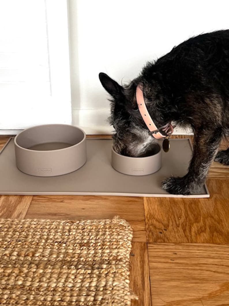 Pu&ograve; includere: Un cane nero che mangia da una ciotola per cani in silicone marrone chiaro su un tappetino in silicone marrone chiaro. Il cane indossa un collare rosa chiaro con un'etichetta di metallo. Il tappetino &egrave; su un pavimento in legno marrone chiaro.