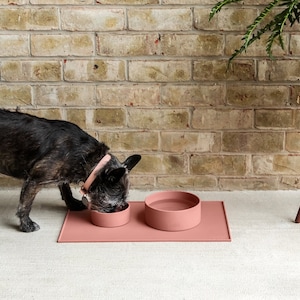 Pu&ograve; includere: Un cane nero che mangia da una ciotola di ceramica rosa su un tappetino di silicone rosa. La ciotola &egrave; su una superficie grigio chiaro davanti a un muro di mattoni.