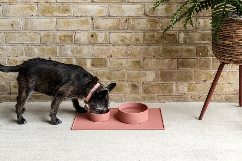 Pu&ograve; includere: Un cane nero che mangia da una ciotola di ceramica rosa su un tappetino di silicone rosa. La ciotola &egrave; su una superficie grigio chiaro davanti a un muro di mattoni.