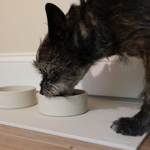 Pu&ograve; includere: Un piccolo cane grigio e marrone mangia da una ciotola di ceramica bianca su un tappetino di silicone bianco. La ciotola &egrave; su un pavimento di legno.