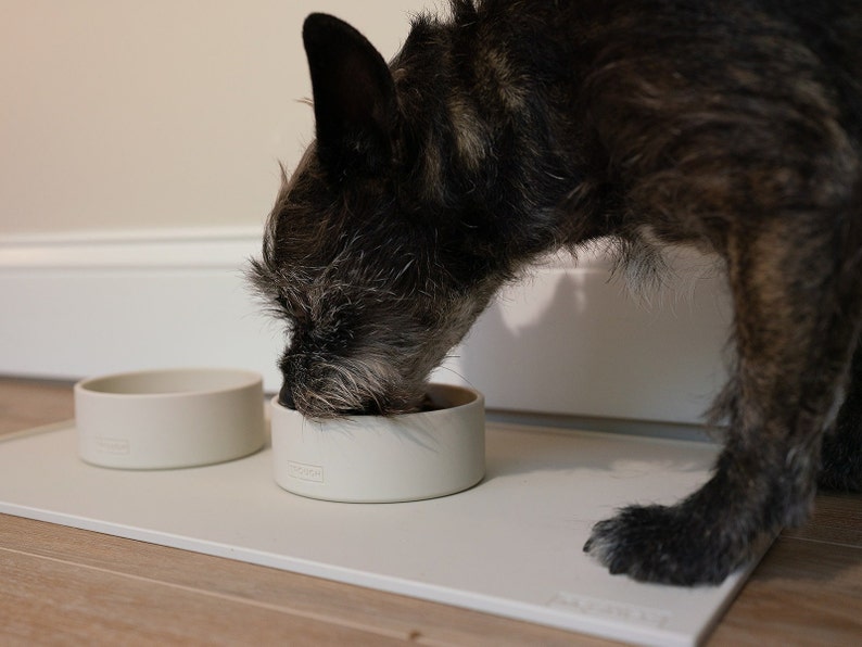 Pu&ograve; includere: Un piccolo cane grigio e marrone mangia da una ciotola di ceramica bianca su un tappetino di silicone bianco. La ciotola &egrave; su un pavimento di legno.