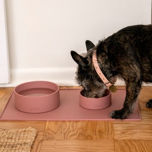 Pu&ograve; includere: Un cane marrone che beve acqua da una ciotola di silicone rosa su un tappetino di silicone rosa. La ciotola &egrave; sul lato sinistro del tappetino e il cane &egrave; sul lato destro del tappetino. Il tappetino &egrave; su un pavimento di legno.