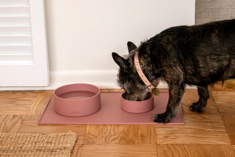 Pu&ograve; includere: Un cane marrone che beve acqua da una ciotola di silicone rosa su un tappetino di silicone rosa. La ciotola &egrave; sul lato sinistro del tappetino e il cane &egrave; sul lato destro del tappetino. Il tappetino &egrave; su un pavimento di legno.