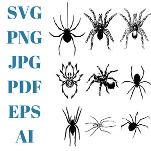 Spider | Instant Digital Download | svg | png | pdf |Ai |Jpeg | eps files included!