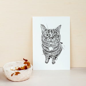 Carte de vœux avec chat - Illustration noir et blanc d'un animal de compagnie - A6 - Encre - Impression - Dessin au stylo - Carte - Fait main