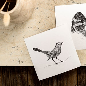 Set de 6 cartas con pájaros (A6 - En blanco - Ilustración en blanco y negro - Impresión - Animales - Tinta - Conjunto de cartas - Naturaleza)