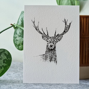 Set di 5 cartoline di Natale con renne (Cervo - Natale - Cartolina di Natale - Illustrazione in bianco e nero - Inchiostro - Disegno a penna - Animali - Fatto a mano)