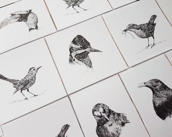 Set mit 6 Karten mit Vögeln – A6 – Schwarz-Weiß-Illustration – Druck – Tiere – Tinte – Kartenset – Natur