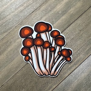 Brown Mushroom Sticker 3 Inch (Pioppino Mushroom), Cute Mushroom, Magic Mushroom Sticker, Vinyl Sticker, Glossy Sticker, Holographic Sticker