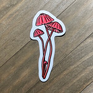 Pink Mushroom Sticker 3 Inch (Mauve Parachute Mushroom), Cute Mushroom Sticker, Fungi Sticker, Vinyl Sticker, Glossy Sticker, Holographic