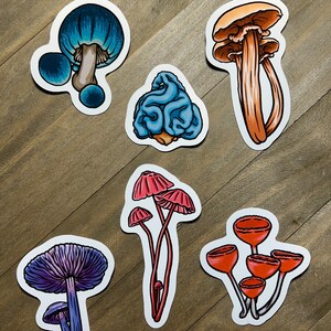 Mushroom Stickers Pack 3 Inch Bundle #2, Cute Mushroom Stickers, Fungi Stickers, Vinyl Stickers, Glossy Stickers, Holographic Stickers