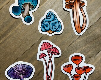 Paddenstoelstickers pakket 3 inch bundel #2, schattige paddestoelstickers, schimmelstickers, vinylstickers, glanzende stickers, holografische stickers
