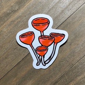 Red Mushroom Sticker 3 Inch (Red Cup Champagne Mushroom), Cute Mushroom Sticker, Fungi Sticker, Vinyl Sticker, Glossy Sticker, Holographic