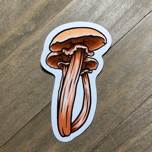 Tan Mushroom Sticker, 3 Inch (Lepiota Mushroom), Cute, Fungi, Vinyl, Glossy, Holographic, Magic, Stickers for Laptop, Gifts