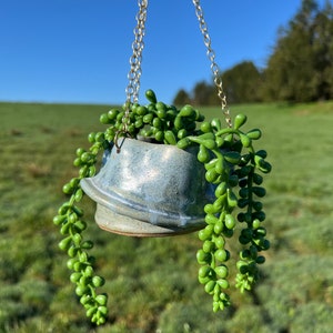 Op de afbeelding: Een blauwe keramische hangende plantenpot met een ketting, gevuld met groene vetplanten.