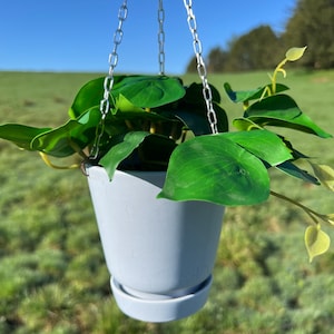 Indoor Hanging Planter, Sun-Planter: Light Blue Pot, Planter, Hanging Pot, Plant Hanger, Unique, Planter with Chain