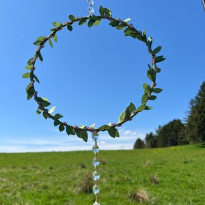 Spider Homes for indoor or outdoor use, Dark Metallic Blue, Sun catchers, Dreamcatchers, Pets, Natural Pest Control
