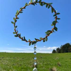 Spider Homes for indoor or outdoor use, Orange, Sun catchers, Dreamcatchers, Pets, Natural Pest Control