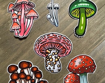 Paddenstoelen stickerpakket bundel #1, paddenstoelenstickers, schattige paddenstoelenstickers, vinylstickers, glanzende stickers, holografische stickers