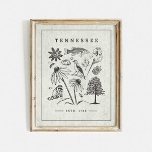 TN State Symbols Art Print 11"x14"